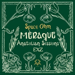 Space Ohm