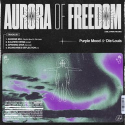 Aurora Of Freedom