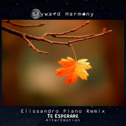 Te Esperare (Elissandro Piano Remix)
