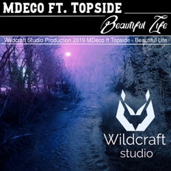 Beautiful Life (Original mix)