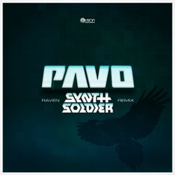 Raven (Synthsoldier Remix)