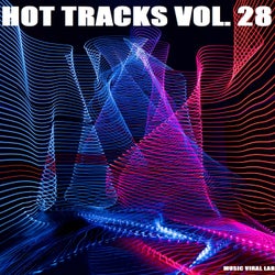 Hot Tracks Vol. 28