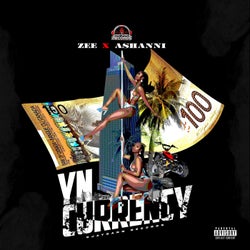 Yn Currency