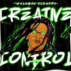 Creative Control (Vol.7)