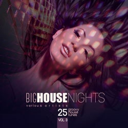 Big House Nights (25 Groovy House Tunes), Vol. 3