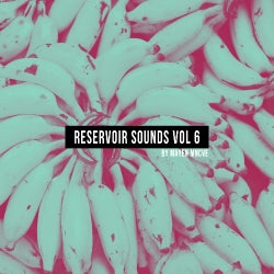 Reservoir Sounds Vol 6
