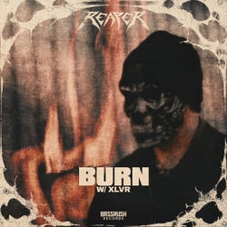 Cover art for BURN