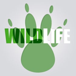 Wildlife