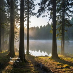 Tranquility