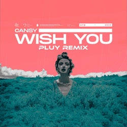 Wish You (Pluy Remix)