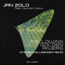 Following Golden Rivers (Stefan Hollaender Remix)