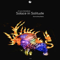 Solace in Solitude (Darren Bray Remix)