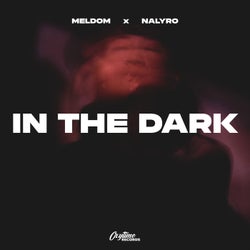 In The Dark
