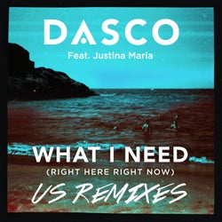 What I Need (Right Here, Right Now) [US Remixes]