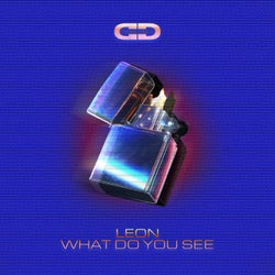What Do You See