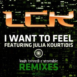 I Want To Feel (Indian Remixes)