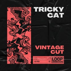 Tricky Cat