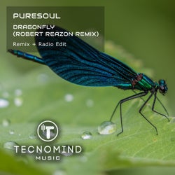 Dragonfly (Robert Reazon Remix)