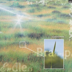Endless Brainspill
