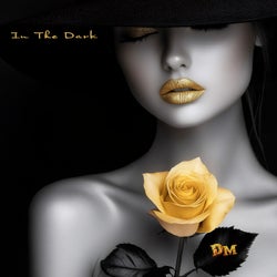 In the Dark