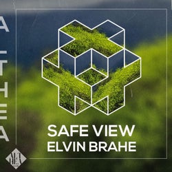 Safe View