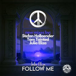 Follow Me - Remixes