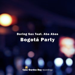 Bogotá Party