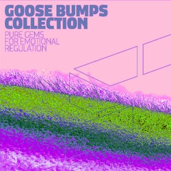Goose Bumps Collection, Vol. 9