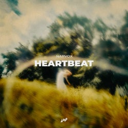Heartbeat