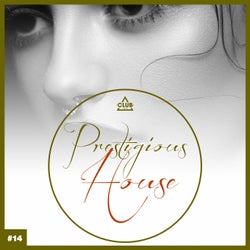 Prestigious House, Vol. 14