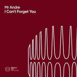 I Can't Forget You