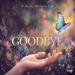 Goodbye