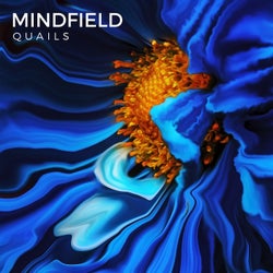 Mindfield - EP
