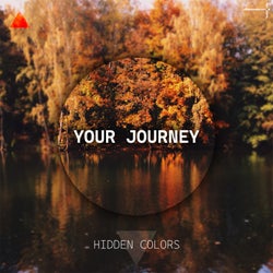 Hidden Colors