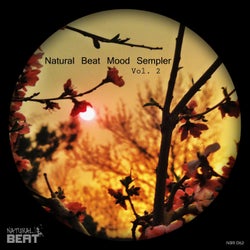Natural Beat Mood Sampler, Vol. 2