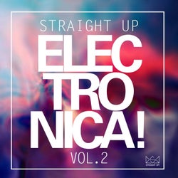 Straight Up Electronica! Vol. 2