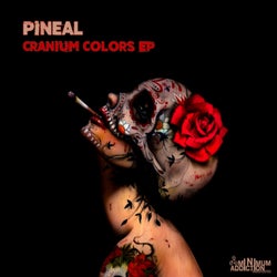 Cranium Colors EP