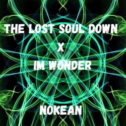 THE LOST SOUL DOWN X IM WONDER (Radio Edit)