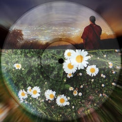 Cosmic Echoes