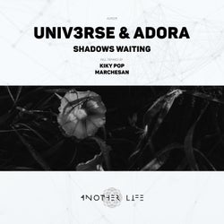 Shadows Waiting