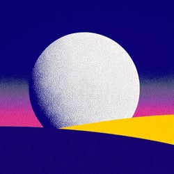 Own the Night