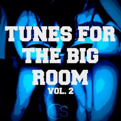 Tunes For The Big Room, Vol. 2