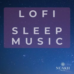 9 Hours of Continuous Lofi Sleep - Chill 432hz