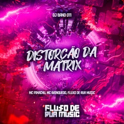 Distorção da Matrix