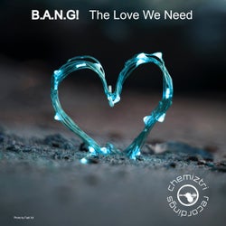 The Love We Need