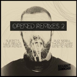 Opened Remixes 2