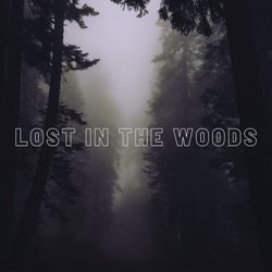 Lost In The Woods