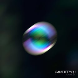 Can't Let You
