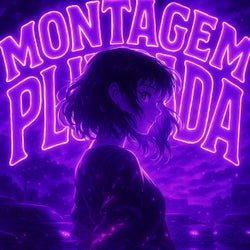 Montagem Plugada