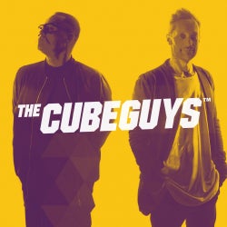 THE CUBE GUYS Miami TOP 10 !